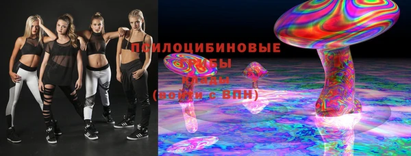 стафф Снежногорск