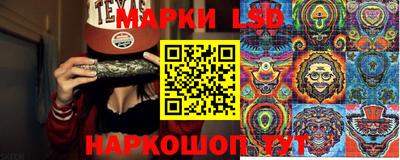 прущие грибы Камышлов