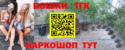 прущие грибы Камышлов