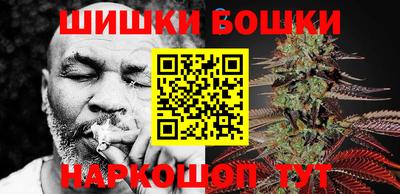 прущие грибы Камышлов