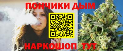 прущие грибы Камышлов