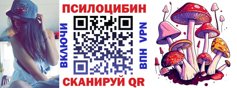 где найти   Снежинск  Галлюциногенные грибы GOLDEN TEACHER 