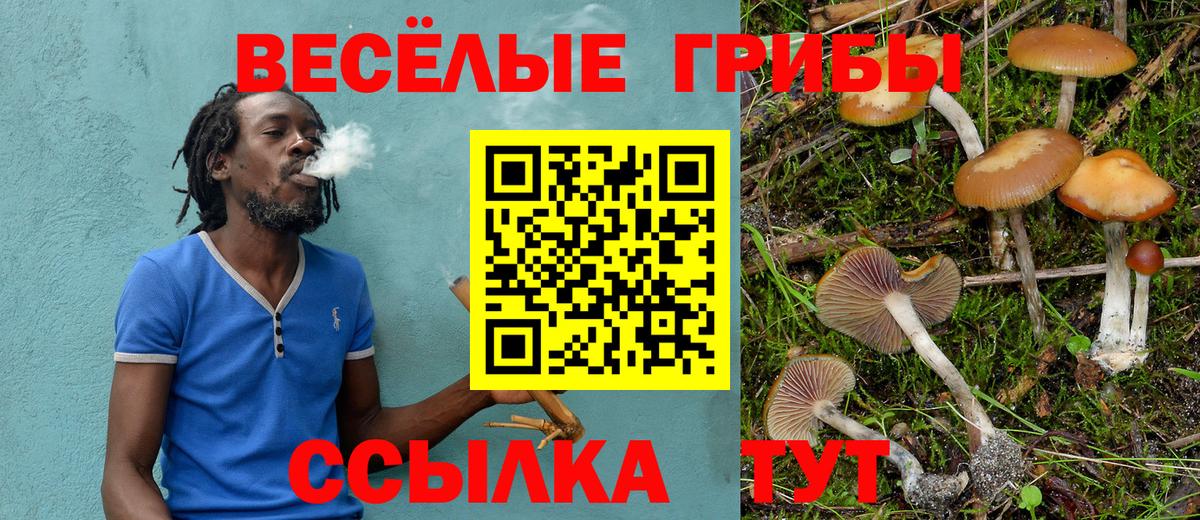Снежинск  Галлюциногенные грибы Cubensis  Вход с VPN  Псилоцибиновые грибы Cubensis 