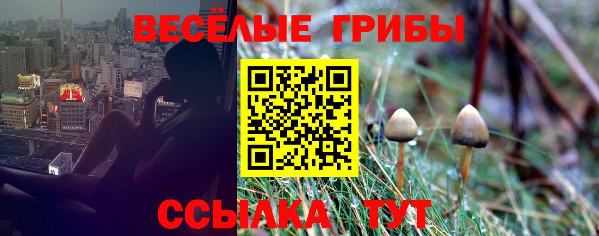 Псилоцибиновые грибы мухоморы Снежинск